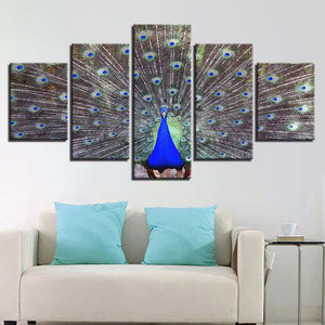 Peacock Display