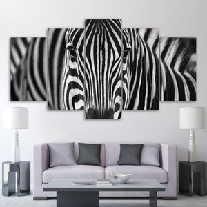 Zebra Canvas