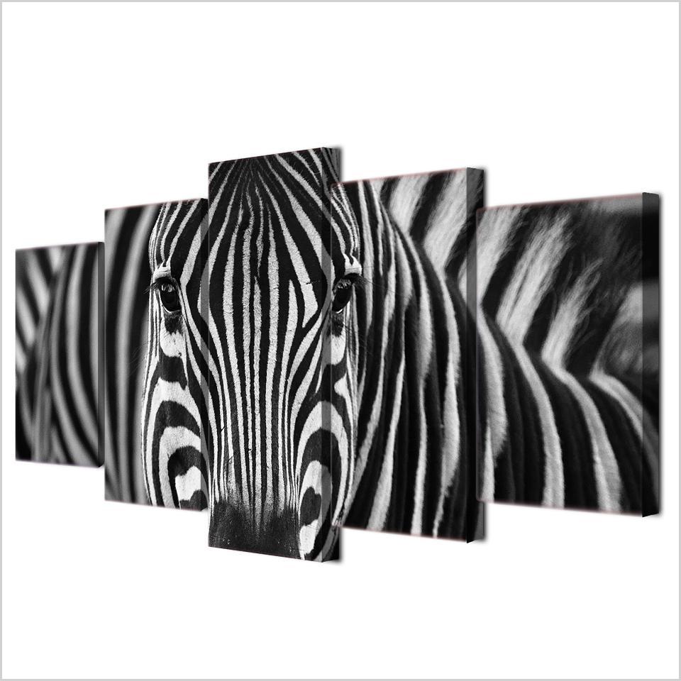 Zebra Canvas