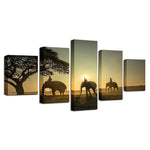 Sunset Elephant Family