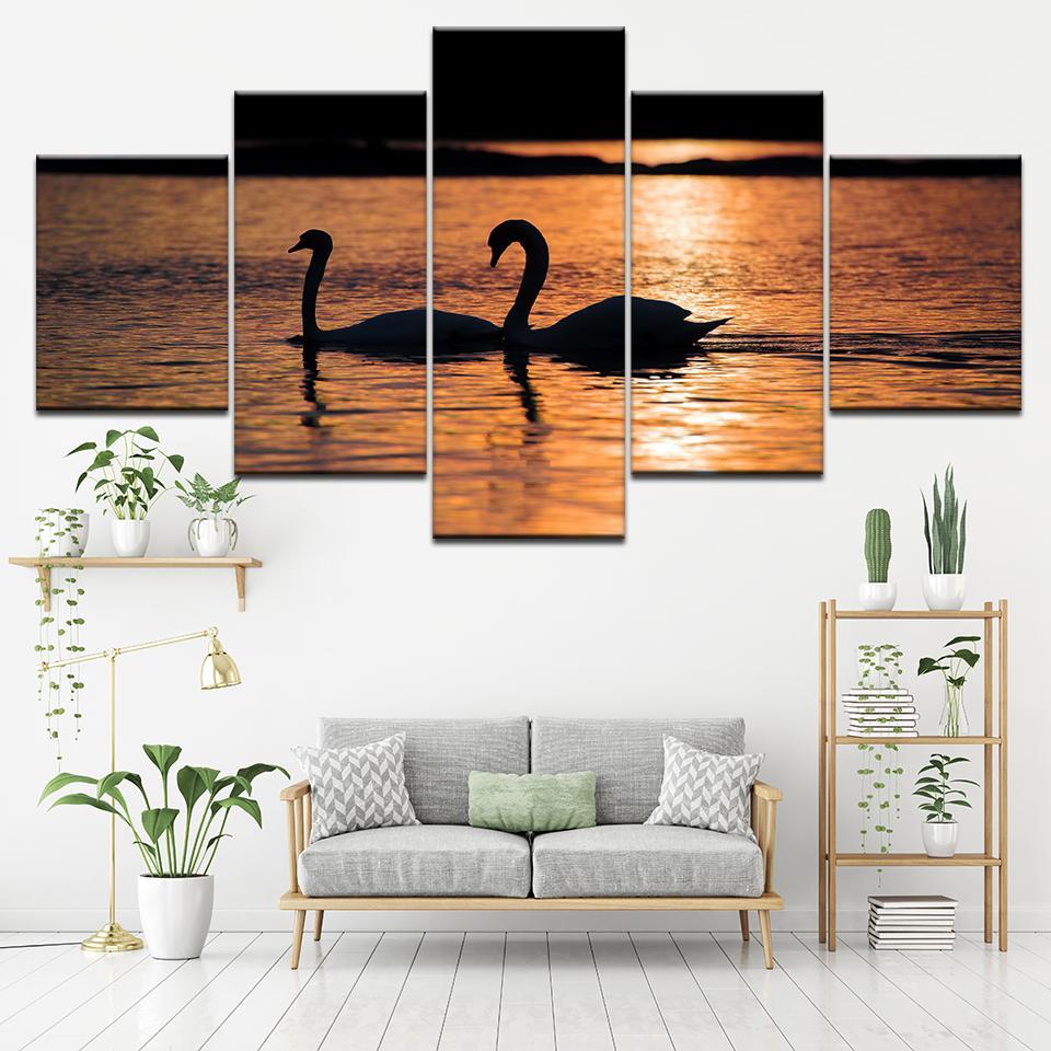 Swans Couple Sunset