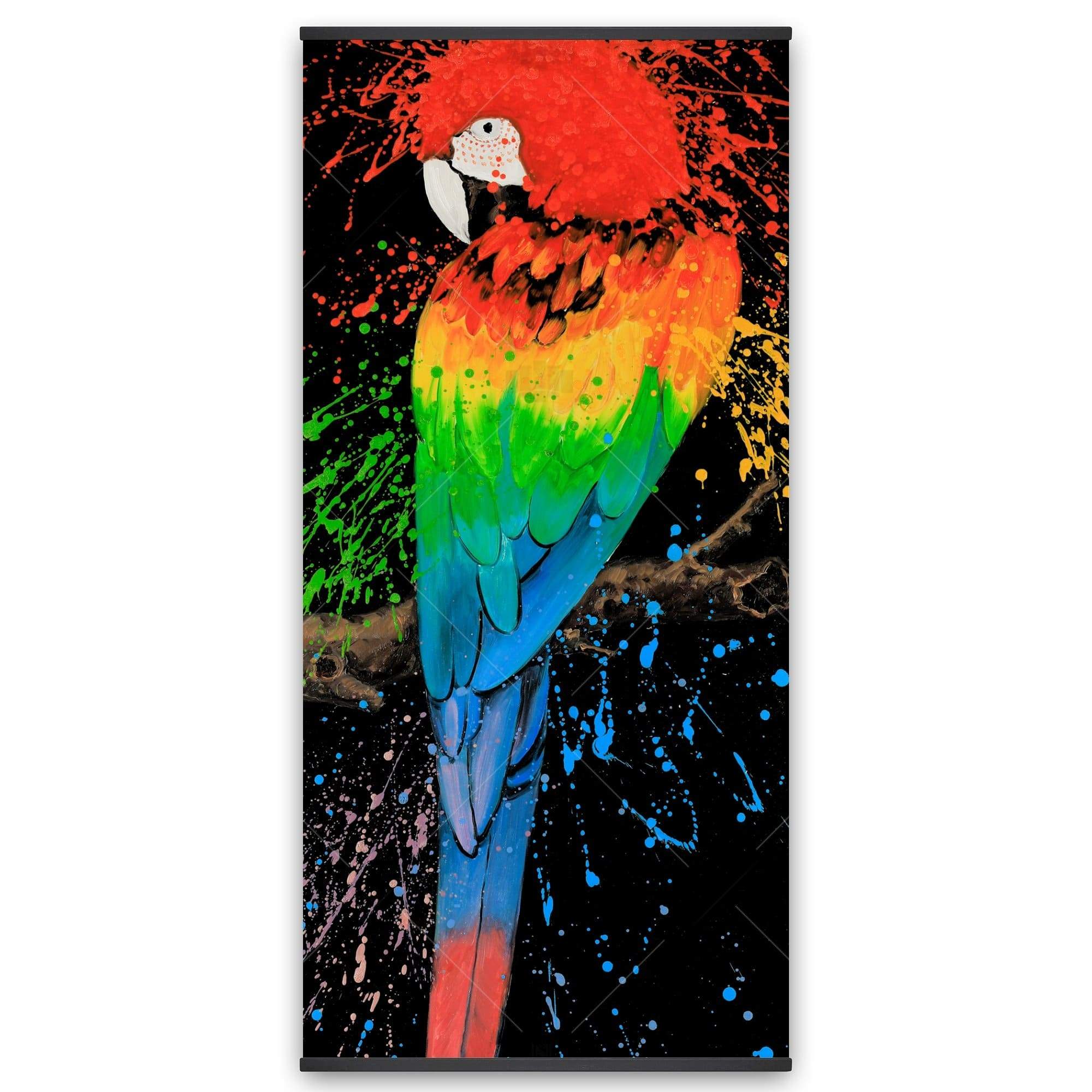 Rainbow Parrot - Wooden Magnetic Frame